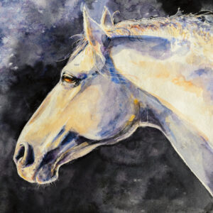 Leinwandbild Ein Helles Pferd Auf Einem Dunklen Hintergrund