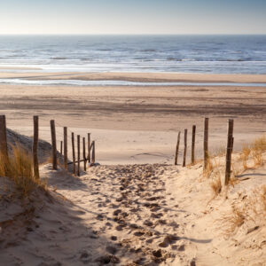 Mehrteiliges Bild Sandiger Weg Zur Nordsee
