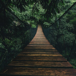 Mehrteiliges Bild Hölzerne Hängebrücke Im Wald