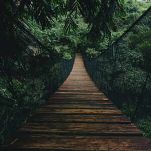 Mehrteiliges Bild Hölzerne Hängebrücke Im Wald
