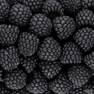 Mehrteiliges Bild Brombeeren Im Makromaßstab