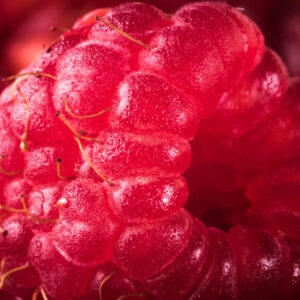 Mehrteiliges Bild Himbeeren Im Makromaßstab