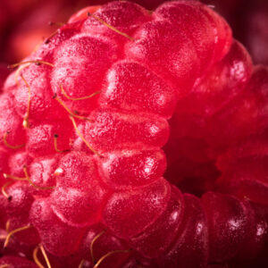 Mehrteiliges Bild Himbeeren Im Makromaßstab