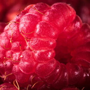 Mehrteiliges Bild Himbeeren Im Makromaßstab