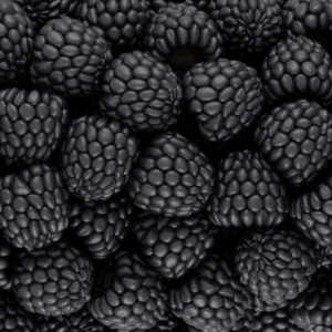 Mehrteiliges Bild Brombeeren Im Makromaßstab