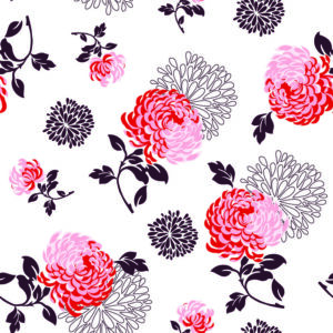 Tapete Blumen - Bunte Chrysanthemen