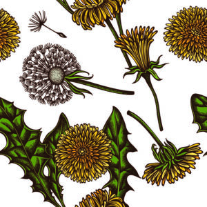 Tapete Blühender Löwenzahn