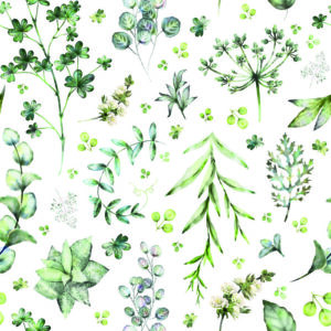 Tapete Blätter Und Feldblumen