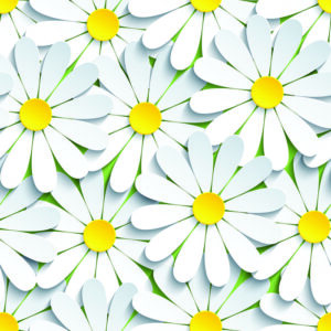 Tapete Blumen - Kamille 3D