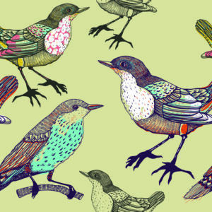 Tapete Bunte Vögel